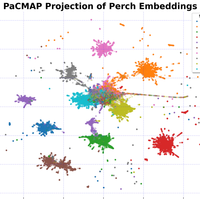 Distilling Spectrograms into Tokens: Fast and Lightweight Bioacoustic Classification for BirdCLEF+ 2025